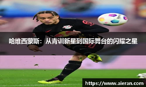 星亿平台